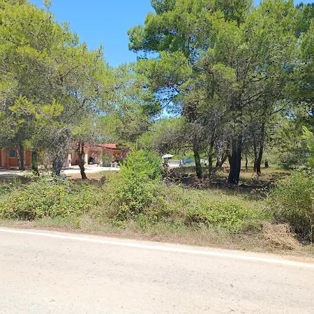 Pine Holliday House Holiday home Vir